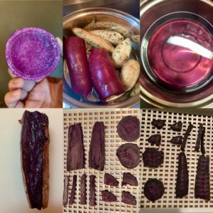 新しい紫芋の品種登場!!「ふくむらさき」